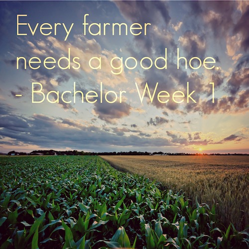 funny bachelor recap-Bachelor Farmer 