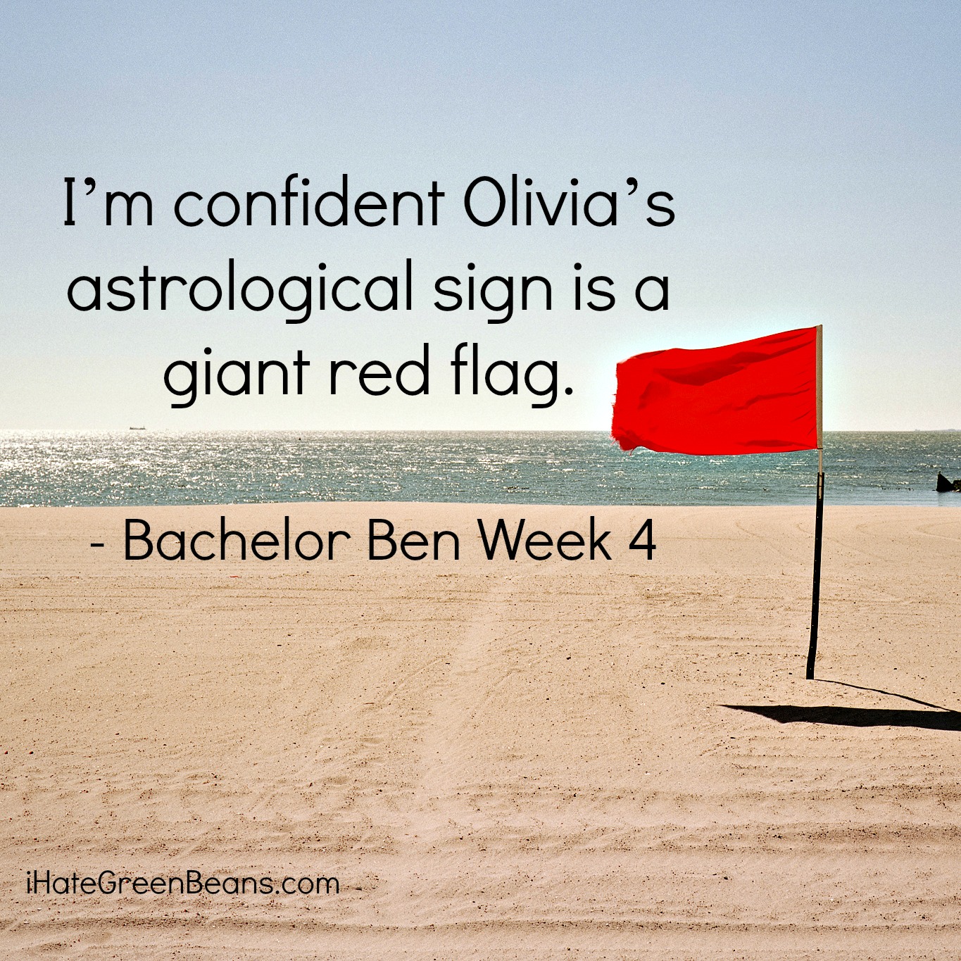 funny bachelor recap-Bachelor Ben Week 4
